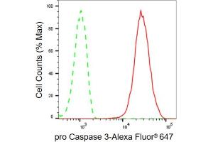 Flow cytometric analysis of pro Caspase 3 expression in HT- cells using pro Caspase 3 antibody (ABIN7799900), 1:2,000). (Rekombinanter Pro Caspase 3 Antikörper)