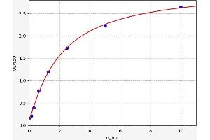 Chemokine (C-X-C Motif) Ligand 14 (CXCL14) ELISA Kit