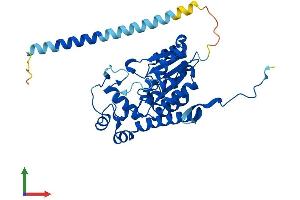 Protein Structure (PS) image for Heparan Sulfate 2-O-Sulfotransferase 1 (HS2ST1) (AA 1-356) protein (His tag) (ABIN7548313)