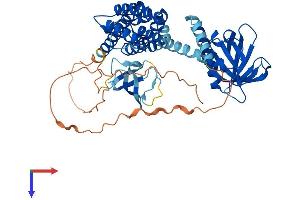 Arhgef9 Protein (AA 1-516) (His tag)