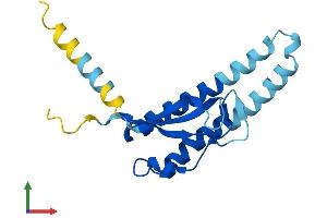 Protein Structure (PS) image for Cysteine-Rich Hydrophobic Domain 2 (CHIC2) (AA 1-165) protein (His tag) (ABIN7561168)