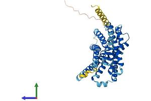 Protein Structure (PS) image for G Protein-Coupled Receptor 183 (GPR183) (AA 1-357) protein (His tag) (ABIN7557151)