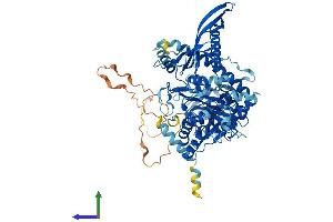 Protein Structure (PS) image for Chondroitin Polymerizing Factor (CHPF) (AA 1-775) protein (His tag) (ABIN7553287)