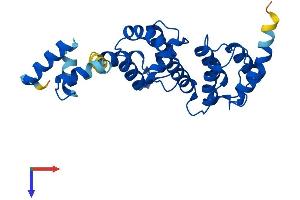 DCUN1D1 Protein (AA 1-259) (His tag)