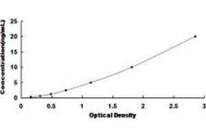 ELISA image for Natriuretic Peptide Receptor A/guanylate Cyclase A (Atrionatriuretic Peptide Receptor A) (NPR1) ELISA Kit (ABIN6958040)