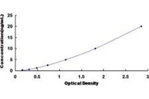 Typical standard curve (NPR1 ELISA Kit)