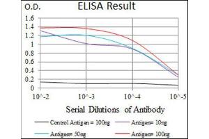 ELISA image for anti-Calmegin (CLGN) (AA 249-405) antibody (ABIN1843003)