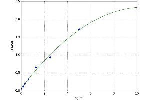 Cholinergic Receptor, Muscarinic 2 (CHRM2) ELISA Kit
