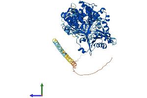 AlphaFold protein structure predicition of Human Recombinant DHX15 Protein, UniprotID O43143