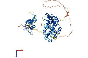 NR5A1 Protein (AA 1-462) (His tag)