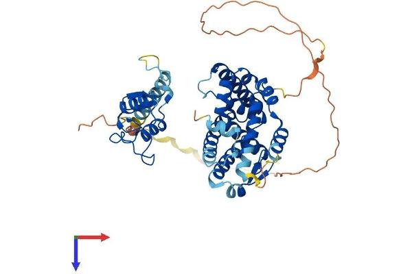 NR5A1 Protein (AA 1-462) (His tag)