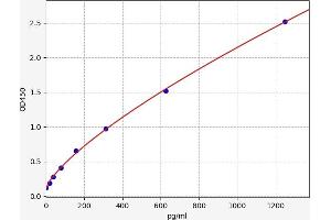 Chemokine (C-C Motif) Ligand 15 (CCL15) ELISA Kit