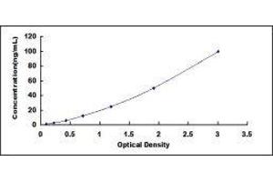 ELISA image for Glyceraldehyde-3-Phosphate Dehydrogenase (GAPDH) ELISA Kit (ABIN6574294)