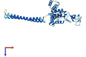 RMND5A Protein (AA 1-391) (His tag)