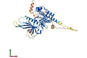 AlphaFold protein structure predicition of Human Recombinant STK40 Protein, UniprotID Q8N2I9 (STK40 Protein (AA 1-435) (His tag))