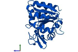 Protein Structure (PS) image for Abhydrolase Domain Containing 14B (ABHD14B) (AA 1-210) protein (His tag) (ABIN7559828)