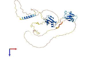 NFATC2IP Protein (AA 1-412) (His tag)