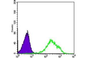 Flow Cytometry (FACS) image for anti-Death-Domain Associated Protein (DAXX) antibody (ABIN969493)