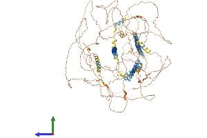 AlphaFold protein structure predicition of Mouse Recombinant Cep126 Protein, UniprotID Q0VBV7 (CEP126 Protein (AA 1-1103) (His tag))