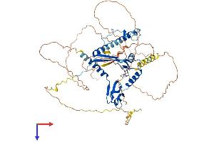 CSRNP3 Protein (AA 1-585) (His tag)