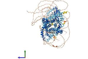AlphaFold protein structure predicition of Mouse Recombinant Disp2 Protein, UniprotID Q8CIP5