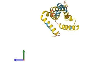 AlphaFold protein structure predicition of Human Recombinant C19orf12 Protein, UniprotID Q9NSK7