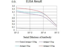 Black line: Control Antigen (100 ng),Purple line: Antigen (10 ng), Blue line: Antigen (50 ng), Red line:Antigen (100 ng) (CD276 Antikörper  (AA 29-466))