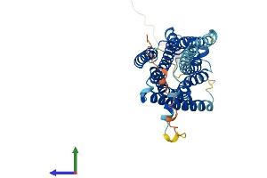 Protein Structure (PS) image for G Protein-Coupled Receptor 45 (GPR45) (AA 1-373) protein (His tag) (ABIN7561409)