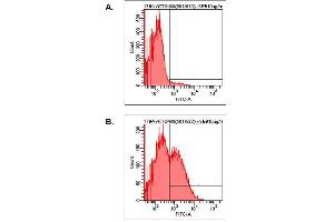Detection of endogenous human LAG-3 by FACS analysis using anti-LAG-3 (human), mAb (17B4) (ATTO 488) .