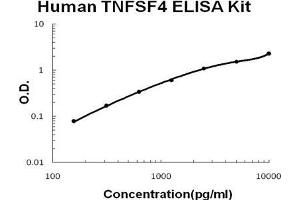 ELISA image for Tumor Necrosis Factor (Ligand) Superfamily, Member 4 (TNFSF4) ELISA Kit (ABIN1672817)
