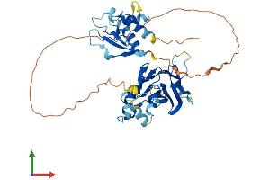 Protein Structure (PS) image for Interferon Regulatory Factor 9 (IRF9) (AA 1-393) protein (His tag) (ABIN7548540)