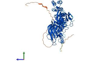 Protein Structure (PS) image for BTB (POZ) Domain Containing 9 (BTBD9) (AA 1-612) protein (His tag) (ABIN7552747)