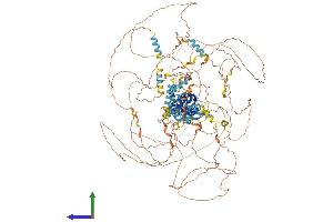 AlphaFold protein structure predicition of Human Recombinant CRAMP1 Protein, UniprotID Q96RY5 (CRAMP1 (AA 1-1269) protein (His tag))