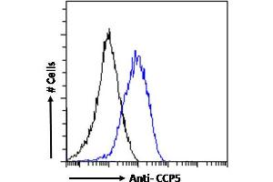 ABIN768638 Flow cytometric analysis of paraformaldehyde fixed NIH3T3 cells (blue line), permeabilized with 0. (AGBL5 Antikörper  (Internal Region))