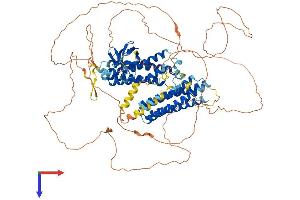 NEDD9 Protein (AA 1-834) (His tag)