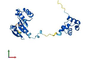 Protein Structure (PS) image for Chromosome 19 Open Reading Frame 40 (C19ORF40) (AA 1-221) protein (His tag) (ABIN7558650)