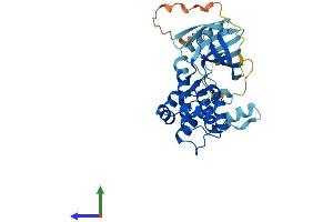 Protein Structure (PS) image for Mitogen-Activated Protein Kinase Kinase 3 (MAP2K3) (AA 1-347) protein (His tag) (ABIN7549527)