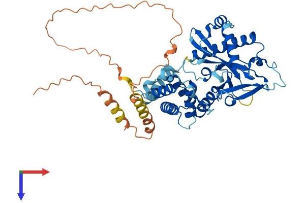 SMCR7 Protein (AA 1-454) (His tag)