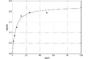 A typical standard curve (Meprin B ELISA Kit)