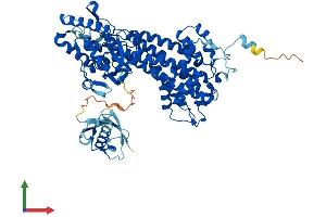 Protein Structure (PS) image for Histidine Ammonia-Lyase (HAL) (AA 1-657) protein (His tag) (ABIN7563175)