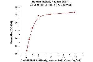 ELISA image for Triggering Receptor Expressed On Myeloid Cells 2 (TREM2) (AA 19-174) (Active) protein (His tag) (ABIN7013550)