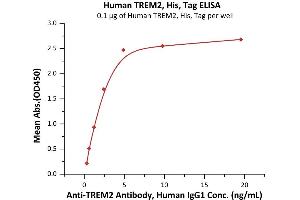 Immobilized Human TREM2, His, Tag (ABIN6973294) at 1 μg/mL (100 μL/well) can bind A Antibody, Human IgG1 with a linear range of 0. (TREM2 Protein (AA 19-174) (His tag))