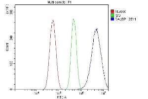 Flow Cytometry analysis of U87 cells using anti-RALBP1 antibody (ABIN7600799). (RALBP1 Antikörper  (AA 239-506))