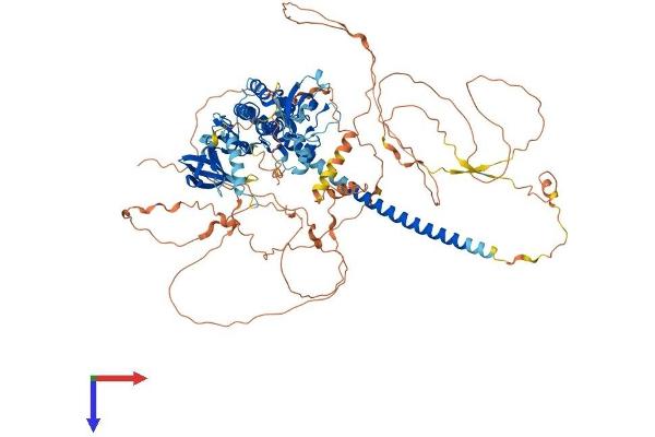 MAP3K10 Protein (AA 1-940) (His tag)