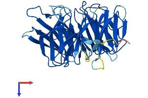 NUP37 Protein (AA 1-326) (His tag)
