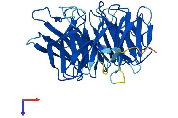 NUP37 Protein (AA 1-326) (His tag)