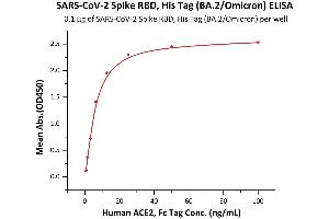 Immobilized SARS-CoV-2 Spike RBD, His Tag (BA. (SARS-CoV-2 Spike Protein (BA.2 - Omicron) (His tag))