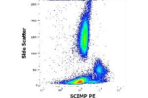 Flow cytometry intracellular staining pattern of human peripheral whole blood stained using anti-SCIMP (NVL-07) PE antibody (10 μL reagent / 100 μL of peripheral whole blood). (SCIMP Antikörper  (PE))