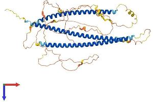 NEDD4 Binding Protein 3 (N4BP3) (AA 1-544) protein (His tag)