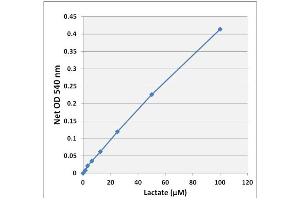 Biochemical Assay (BCA) image for Lactate Assay Kit (Colorimetric) (ABIN5067557)